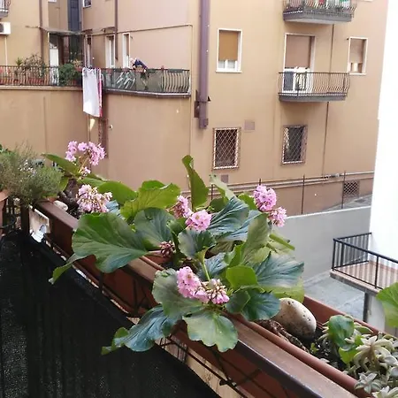 Sole 3*
