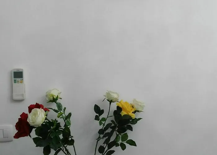 Guest house Locazione Turistica Sole 3*